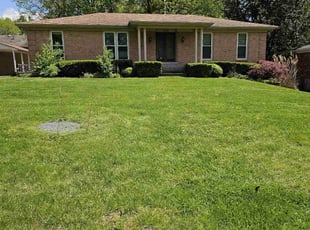 Vincent W.'s Lawn Care service result