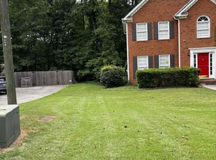 Sarah L.'s Yard Cutting service result