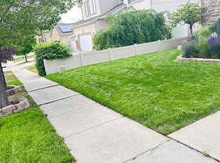 Jessica E.'s Lawn Mowing Service service result