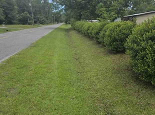 Stephen S.'s Lawn Care service result