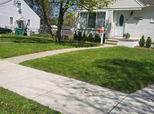 Cliff M.'s Grass Cutting service result