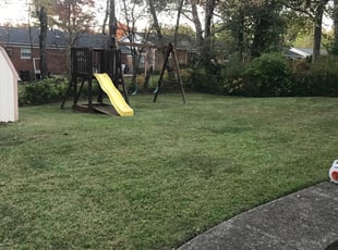 Matthew J.'s Cleanups service result