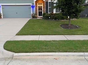 Meghan W.'s Lawn Mowing service result