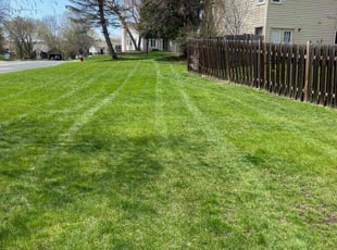 Judy s.'s Yard Cutting service result