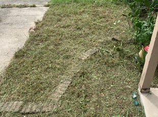 Cleanups by Carlos Martinez for Kiernan O. in Winter Park, FL