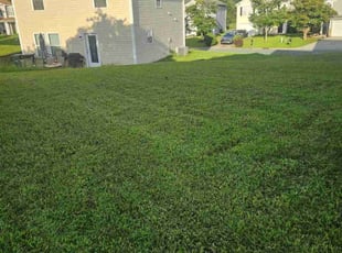 Joey M.'s Yard Cutting service result