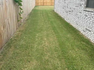 Amy S.'s Lawn Mowing service result
