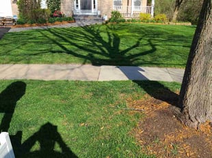 Leasia J.'s Grass Cutting service result