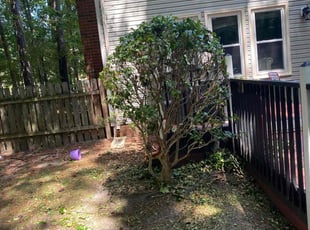 Bush Trimming by Chris Gilliam for Anurodh S. in Yorktown, VA