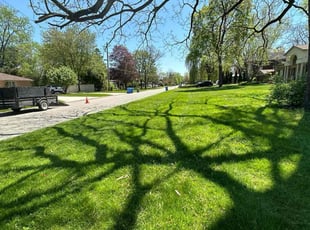Toni k.'s Lawn Mowing service result