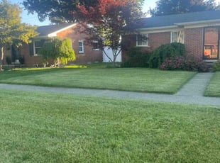 Cynthia W.'s Lawn Maintenance service result