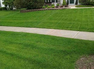 Jimmie G.'s Grass Cutting service result