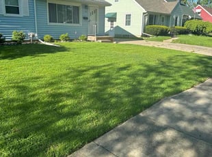 Stephen S.'s Lawn Service service result