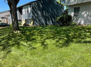 Michael B.'s Lawn Service service result