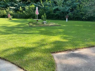 Marina and Jerry W.'s Lawn Mowing service result