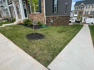 Melinda A.'s Lawn Mowing Service service result