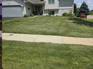 Samuel O.'s Yard Cutting service result