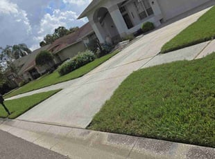Joann H.'s Yard Cutting service result