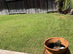 Clarence W.'s Lawn Care service result