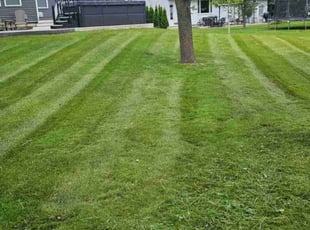 Barbara M.'s Yard Cutting service result