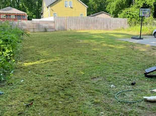 Cleanups by Nathaniel Stanley for Avani S. in Atlanta, GA