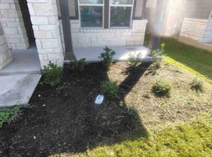 Weeding by Thomas Rodriguez for Macy N. in Kyle, TX