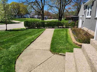 Patricia K.'s Lawn Care service result