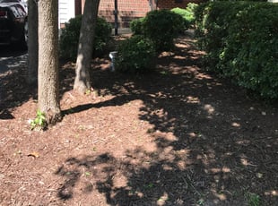 Weeding by Chris Thomas for Jodi B. in Midlothian, VA
