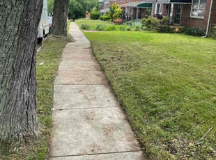 Richard M.'s Lawn Mowing service result