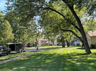 Jane B.'s Lawn Maintenance service result