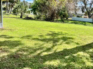 Lady S.'s Lawn Mowing Service service result
