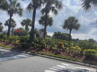 Bush Trimming by Moses Chinquee for Jeff r. in Orlando, FL