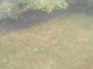 Cleanups by Earnest Williams for Jessica P. in Columbus, OH