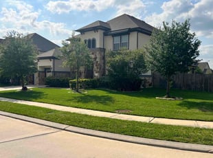 Romaine K.'s Lawn Care service result