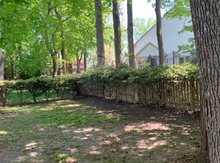 Bush Trimming by Darren Young for Christopher . in Virginia Beach, VA