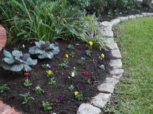 Landscaping by Ambrosio Javier Ocanas for McCary G. in Dallas, TX