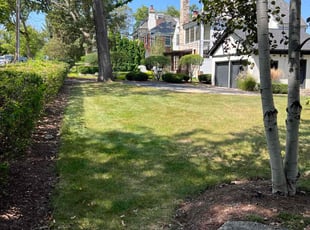 Andrew R.'s Lawn Mowing Service service result