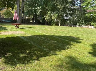Bryan B.'s Grass Cutting service result