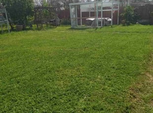 Selena W.'s Yard Cutting service result