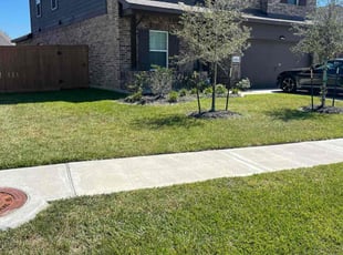 Nebu C.'s Lawn Care service result