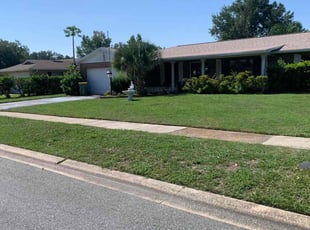 BARBARA H T.'s Lawn Mowing service result