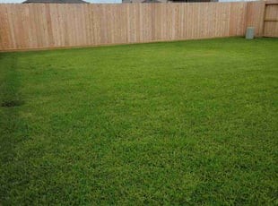 Ronald T.'s Grass Cutting service result