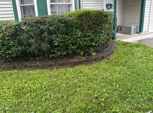 Bush Trimming by Steven Moreira for Samantha M. in Virginia Beach, VA