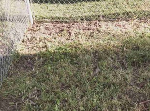 Cleanups by Megan Sandor for Mark C. in Canton, OH