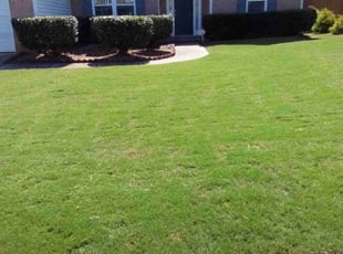Jin O.'s Lawn Care service result