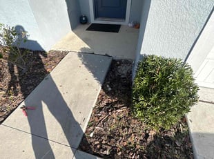 Weeding by Ramon Taguja for Dustin L. in Lakeland, FL