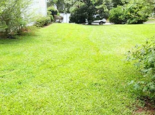 Michael B.'s Lawn Mowing Service service result