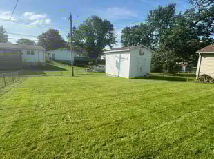 Mike M.'s Lawn Service service result