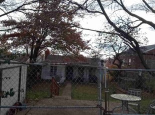 Leaf Removal by Christopher Richardson Sr for Pat M. in St. Louis, MO
