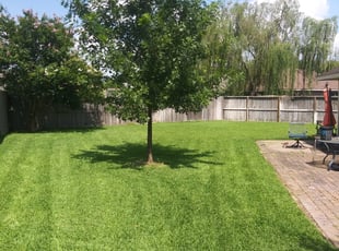 Suzanne Z.'s Grass Cutting service result